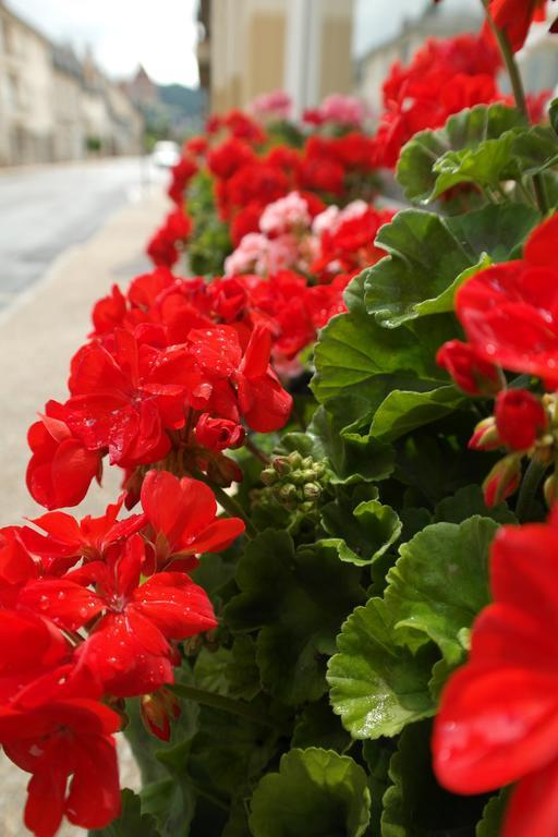 Saint-Geniez-dʼOlt Logis Hotel Restaurant De France מראה חיצוני תמונה